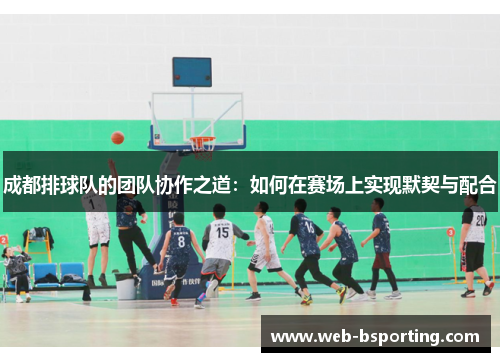 成都排球队的团队协作之道：如何在赛场上实现默契与配合