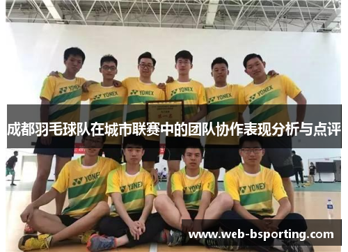 成都羽毛球队在城市联赛中的团队协作表现分析与点评